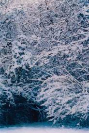 Winter Storm Was Challenging for Couple Image